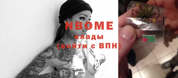 сатива Аркадак