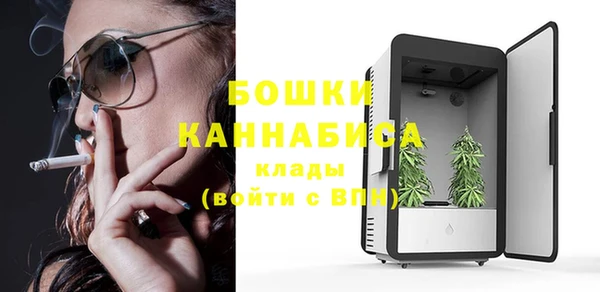 шишки Алексеевка