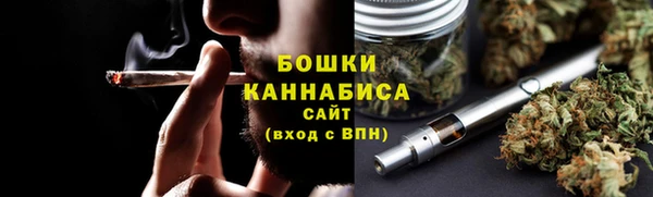 амф Гусев