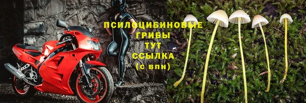 шишки Алексеевка