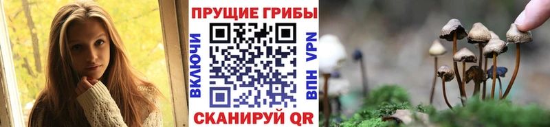 как найти наркотики  Николаевск-на-Амуре  Псилоцибиновые грибы GOLDEN TEACHER 
